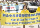 Жестокие репрессии Фалуньгун в Китае, почему нужно об этом рассказывать?