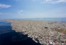 Как цивилизованные страны борются с избытком пластика